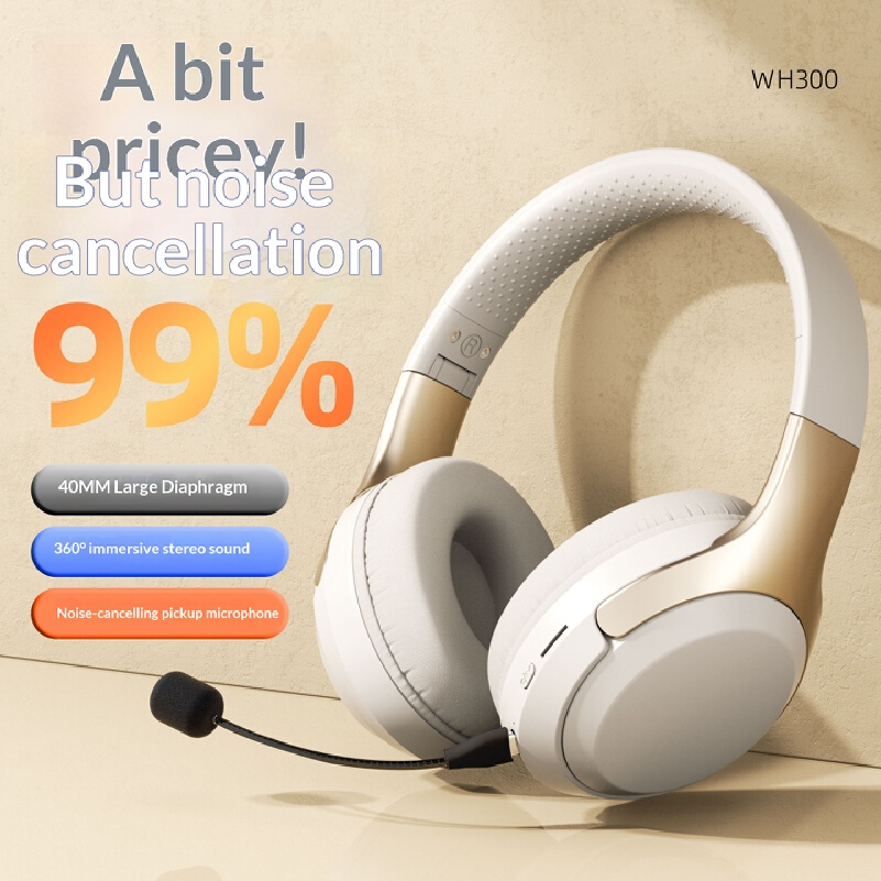 Over Ear Wireless Bluetooth He - đánh giá và giá Phone Accessories Officeworks